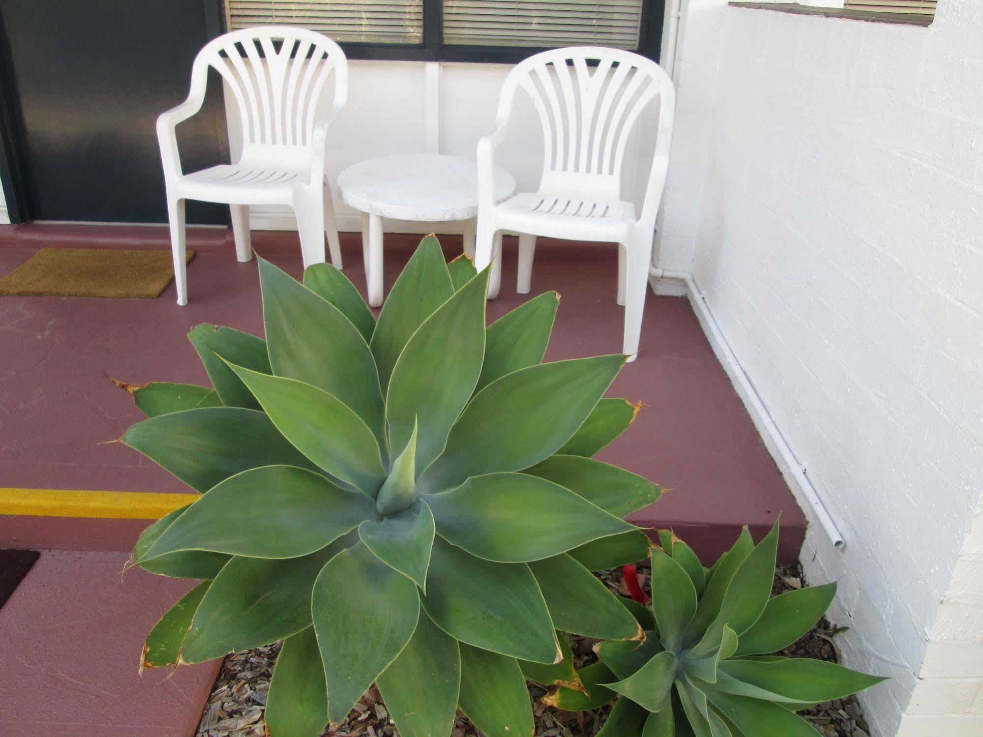 Tower Court Motel - Adults Only Haven Hervey Bay Exteriör bild